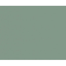 Матовая мята P010