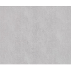 Матовый Оксид Светло-серый P253