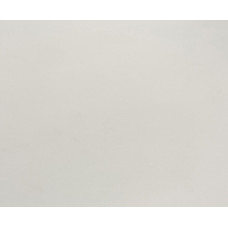 Матовый Светло-серый P013
