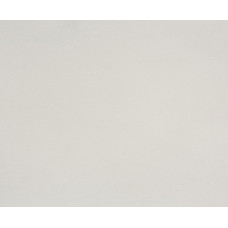 Светло-серый P116