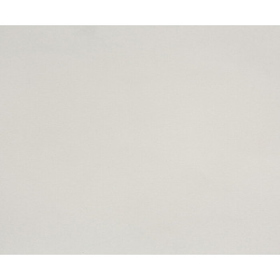 Светло-серый P116