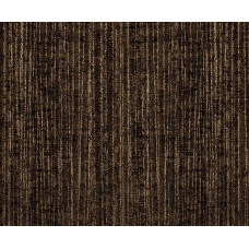 Звезда Земляная P244