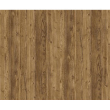 Альпийская ель 546 Альпийская ель 546