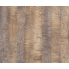 Австралийское дерево 585 Австралийское дерево 585