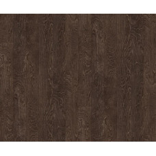 Береза 261 Береза 261